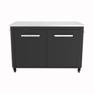 2 Door Cabinet front view