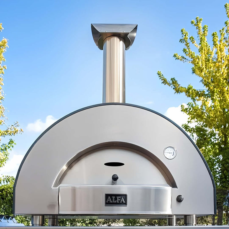Alfa Classico 2 Pizze | Gas & Wood Fired  close up front view of pizza oven