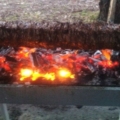meat cooking over a fire smoking it