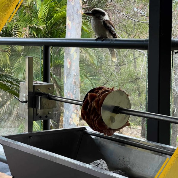 A charcoal BBQ showing gyros discs with meat and a kookaburra on a railing