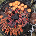 BBQ Grill and Fire Pit  top view of meat and potatoes cooking on grill with a roast also on rotisserie