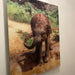 Infrared Heater | Electric | Herschel Inspire Picture picture of an elephant