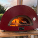 Pizza Oven | Alfa Nano | Wood or Gas close up view with fire inside and cooking steak
