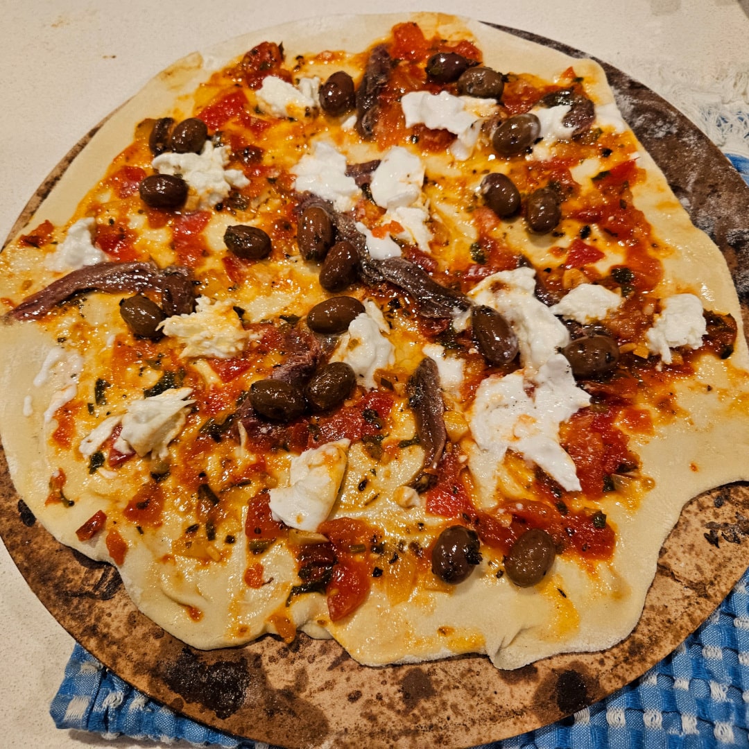 Wood Fired Pizza Oven | Stainless Steel | Free Standing