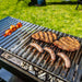 Argetine Parrilla BBQ Grill | Outdoor Central from Outdoor living australia  top view with food